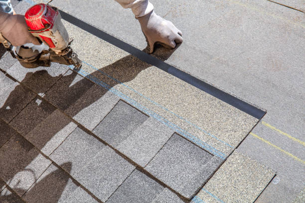 Best Roof Gutter Cleaning  in Summerside, OH